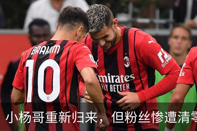 小杨哥重新归来，但粉丝惨遭清零！